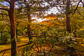 Ansicht des Goldenen Tempels (Kinkaku-ji) (Tempel des Goldenen Pavillons), UNESCO, Kyoto, Honshu, Japan