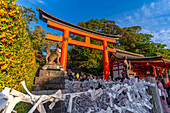 Blick auf den Fushimi-Inari-Schrein in der Abenddämmerung, Fukakusa Yabunouchicho, Stadtbezirk Fushimi, Kyoto, Honshu, Japan