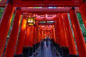 View of The Endless Red Gates (Torii) at Fushimi Inari Shrine at dusk, Fukakusa Yabunouchicho, Fushimi Ward, Kyoto, Honshu, Japan