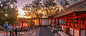 Blick auf das Torii-Tor des Fushimi-Inari-Schreins in der Abenddämmerung, Fukakusa Yabunouchicho, Bezirk Fushimi, Kyoto, Honshu, Japan