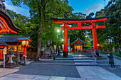 Blick auf das Torii-Tor des Fushimi-Inari-Schreins in der Abenddämmerung, Fukakusa Yabunouchicho, Bezirk Fushimi, Kyoto, Honshu, Japan