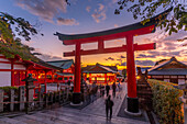 Blick auf das Torii-Tor des Fushimi-Inari-Schreins in der Abenddämmerung, Fukakusa Yabunouchicho, Bezirk Fushimi, Kyoto, Honshu, Japan