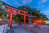 Blick auf das Torii-Tor des Fushimi-Inari-Schreins in der Abenddämmerung, Fukakusa Yabunouchicho, Bezirk Fushimi, Kyoto, Honshu, Japan