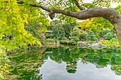 View of Shoseien Garden in early Autumn, Shimogyo Ward, Higashitamamizucho, Kyoto, Honshu, Japan