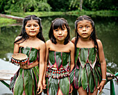 Sinchi Warmi, Amazonia, Napo Province, Ecuador