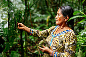 Sinchi Warmi, Amazonia, Napo Province, Ecuador