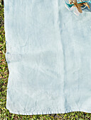 Picnic blanket with cutlery on grass