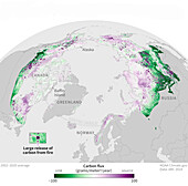 Arctic wildfire average carbon emissions 2002-2020
