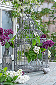 Fliederblüten mit Deko Vogekäfig