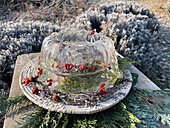 Deko aus Teller mit Hagebutten und Zweigen bedeckt von Schale aus Eis mit Gläsern im winterlichen Garten