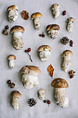 Fresh porcini mushrooms with autumn decoration