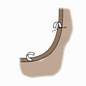 Illustration einer Sattlernaht auf braunem Leder