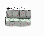 Anleitung zur Faltenlegung mit 6 cm Abstand, illustriert