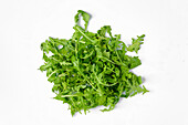 Fresh rocket salad - free-standing