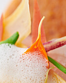 Mediterrane Komposition mit Gemüse und Orangenmousse