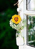 Kleiner Strauß aus Großblütigem Mädchenauge und Wiesenkümmel in Mini-Vase an altem Fenster aufgehängt