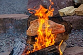Cooking salmon side by the campfire