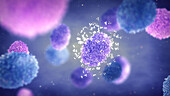 Mpox virus particles, illustration