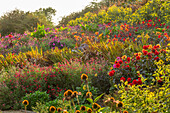 Blühender Garten am Hang mit Dahlien, Blumenrohr und Salbei im September