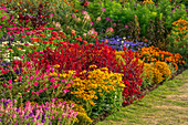 Bunte Jahresblumenrabatte im September mit Zinnien, Sonnenhut und Tagetes