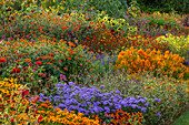 Bunte Blumenrabatte im September mit Sonnenblumen, Tagetes und Celosia