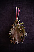 Red kale on a dark fabric background