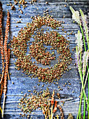 Still life with plantain seeds and ribwort plantain