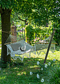 Hängematte unter Sommerlinde im sommerlichen Garten