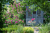 Frau mit Rosenstrauss, Rosenstauden (Rosa multiflora 'Taunusblümchen'), Kletterrose am Teehaus neben Sitzplatz