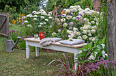 Sitzplatz im Garten vor Beet mit Ballhortensien (Hydrangea arborescens 'Annabelle'), Kugellauch (Allium), Dahlien, Sonnenauge, Eisenkraut