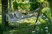 Hängematte unter Sommerlinde in sommerlichen Garten