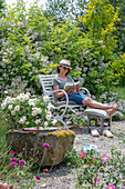 Frau liest an Sitzplatz auf Kiesterrasse vor Büschelrose (Rosa multiflora), Skabiose (Scabiosa) und blühenden Sträuchern