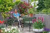 Frau liest auf Terrasse vor Töpfen mit Weigelie, Schafgarbe, Steppensalbei, Fächerahorn, Bartnelke, Lupinen, Dahlien, Rose (Rosa 'Petticoat') und Katze
