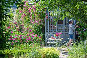 Frau mit Rosenstrauss, Rosenstauden (Rosa multiflora 'Taunusblümchen'), Kletterrose am Teehaus neben Sitzplatz
