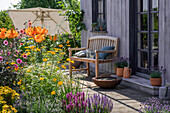 Blumenbeete mit Feuer-Lilie (Lilium bulbiferum), Fliederblättriges Schmuckkörbchen (Cosmos bipinnatus), Sonnenauge (Heliopsis helianthoides), Salbei, Lavendel auf der Terrasse
