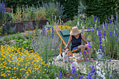 Frau im Liegestuhl zwischen Rittersporn (Delphinium) und Färberkamille (Anthemis tinctoria) im sommerlichen Garten