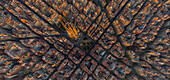 Aerial image of Sargrada Familia,Barcelona,Spain