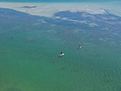 Aerial view of tranquil paddleboarding adventure at Hurricane Pass,Dunedin,Florida,United States