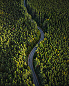 Aerial view of a beautiful forest mosaic in Larionovskoe,Karelia,Russia