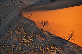 Aerial view above Namibia desert with tourist doing photo