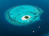 Luftaufnahme einer kleinen paradiesischen Insel mit Segelbooten entlang des Riffs, Malediven Archipelagos