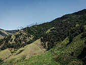 Luftaufnahme von üppig grünen Hügeln und Tälern in Salento, Quindio, Kolumbien