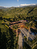 Aerial view of vibrant coffee plantation and lush mountains in Salento,Quindio,Colombia