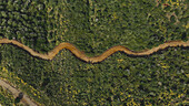 Aerial view of beautifully bending muddy footpath through very green forest in forests of Marbella,Spain