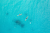 Aerial Top Down View Of Two People Kayaking in Clear Blue Ocean Water In Male,Maldives