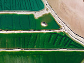 Aerial view of a salt mine with different hues of green and salt dividers running horizontally through the image,Western Australia. Top down perspective
