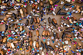Dhunat,Bangladesh - 31 July 2020: Aerial view of people trading at local cattle market,Rajshahi province,Bangladesh