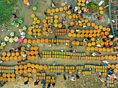 Aerial view of a local food market in Dhaka,Bangladesh