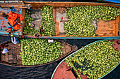 Aerial view of workers exchanging watermelons on typical boats along the Buriganga River,keraniganj,Dhaka Bangladesh