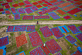 Dhaka,Bangladesh - 18 May 2021: Aerial view of people working in fields drying red chilies at Mirzapur,Panchagarh,Bangladesh